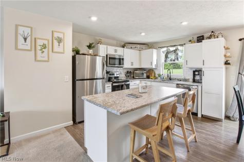 5709 Burlington Drive Chippewa Lake OH 44215