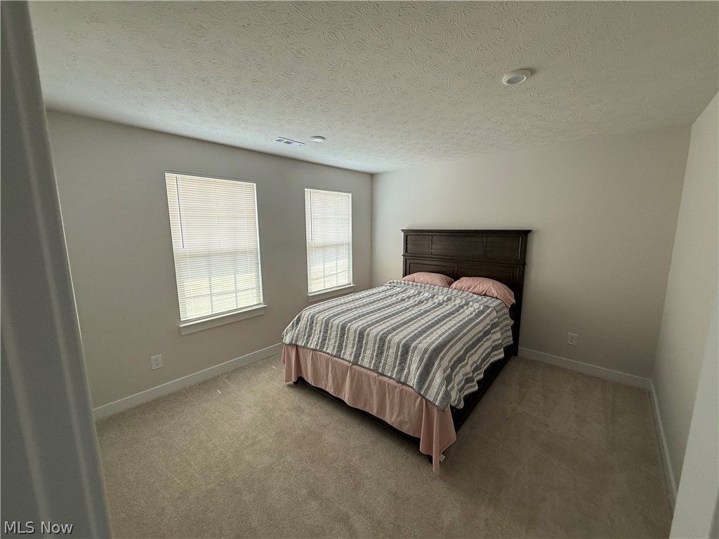 4495 Brownstone Lane Medina OH 44256