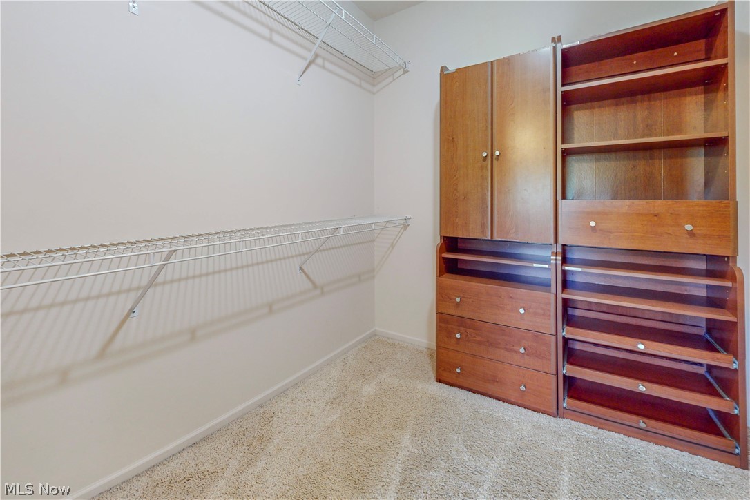 111 Avalon Estate Wintersville OH 43953