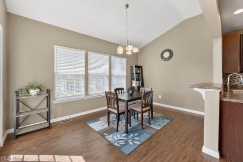 508 Arboretum Drive Brunswick OH 44212