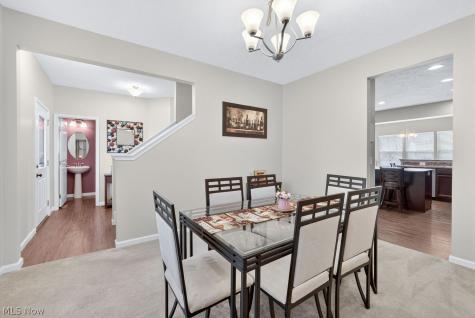 508 Arboretum Drive Brunswick OH 44212