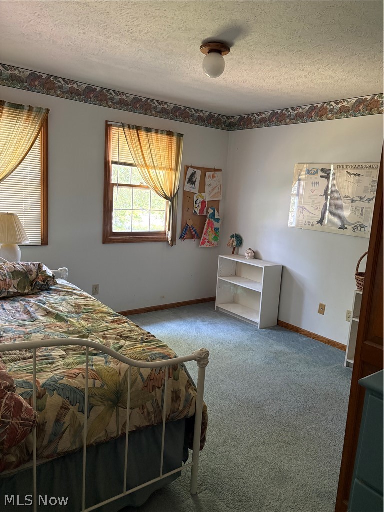 1912 Basswood Drive Kent OH 44240