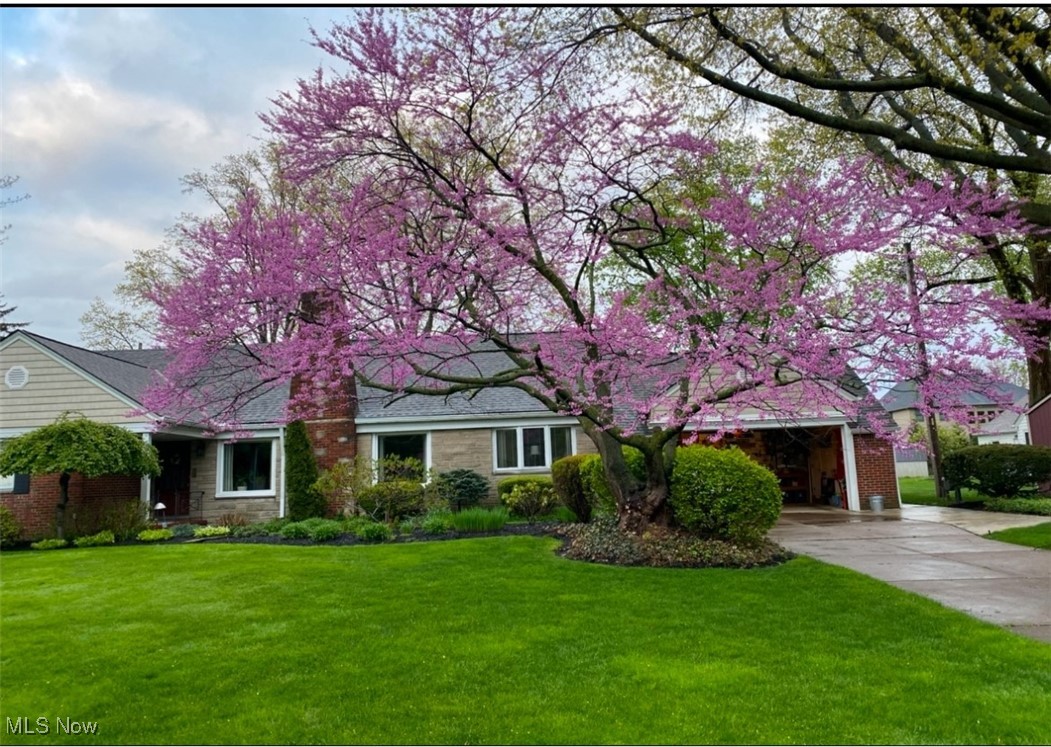 3829 Carol Boulevard Rocky River OH 44116