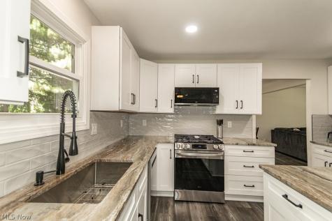 7908 Kellogg Creek Drive Mentor OH 44060