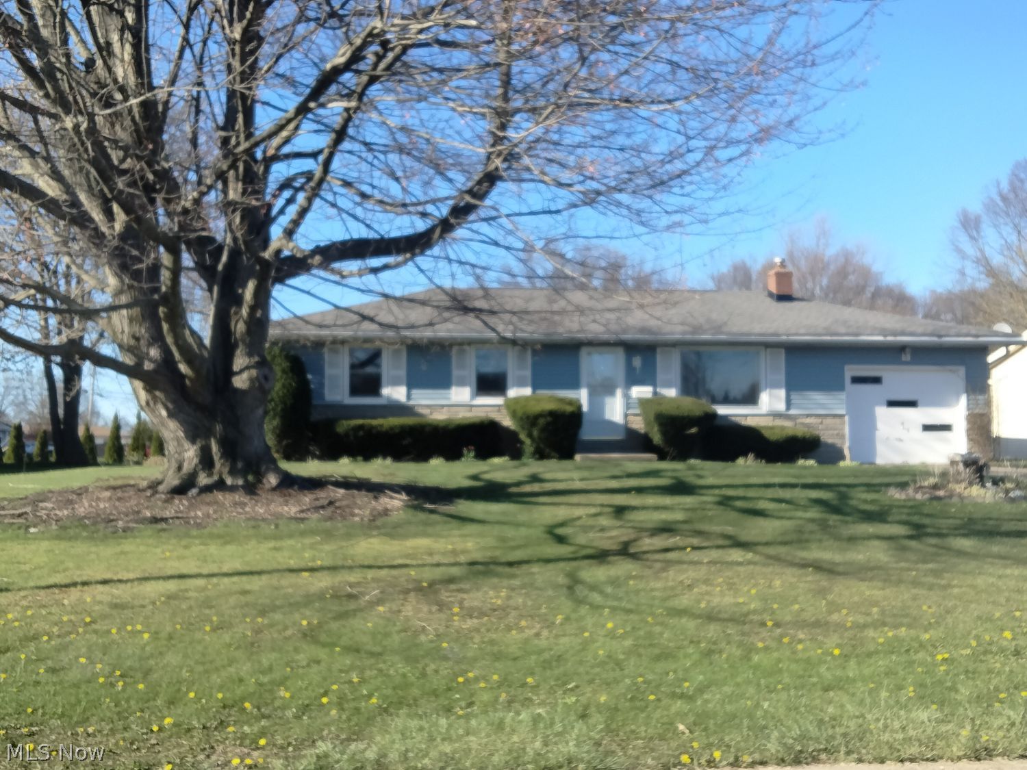 4266 Sprucewood Drive Austintown OH 44511
