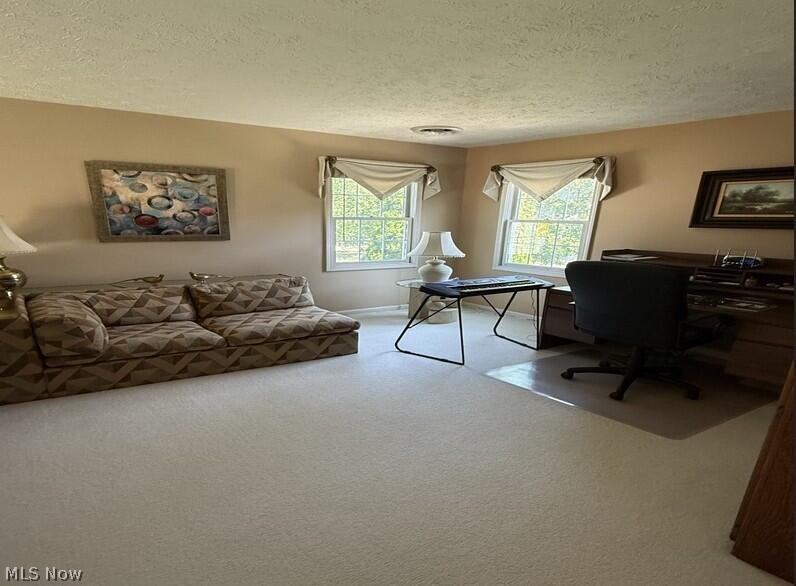 22420 Woodfield Trail Strongsville OH 44149