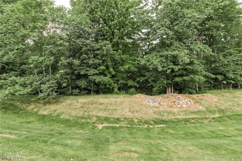 1012 Cutters Creek Drive South Euclid OH 44121