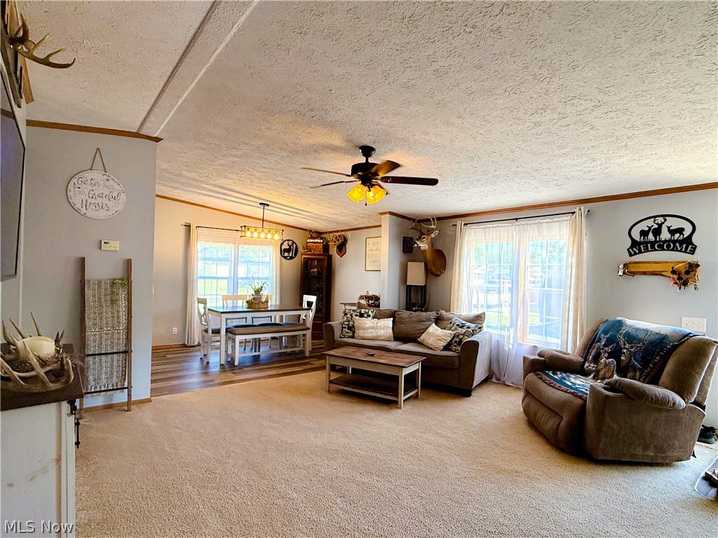 531 Herrick Street Uhrichsville OH 44683