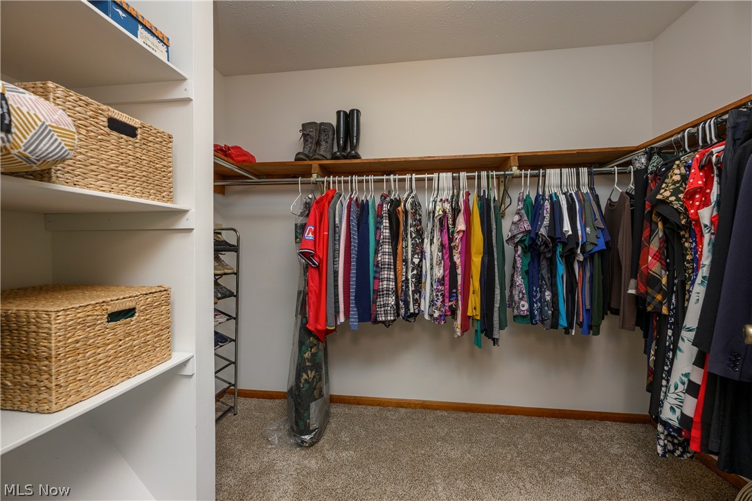 8365 Crinkleroot Clearing Brecksville OH 44141