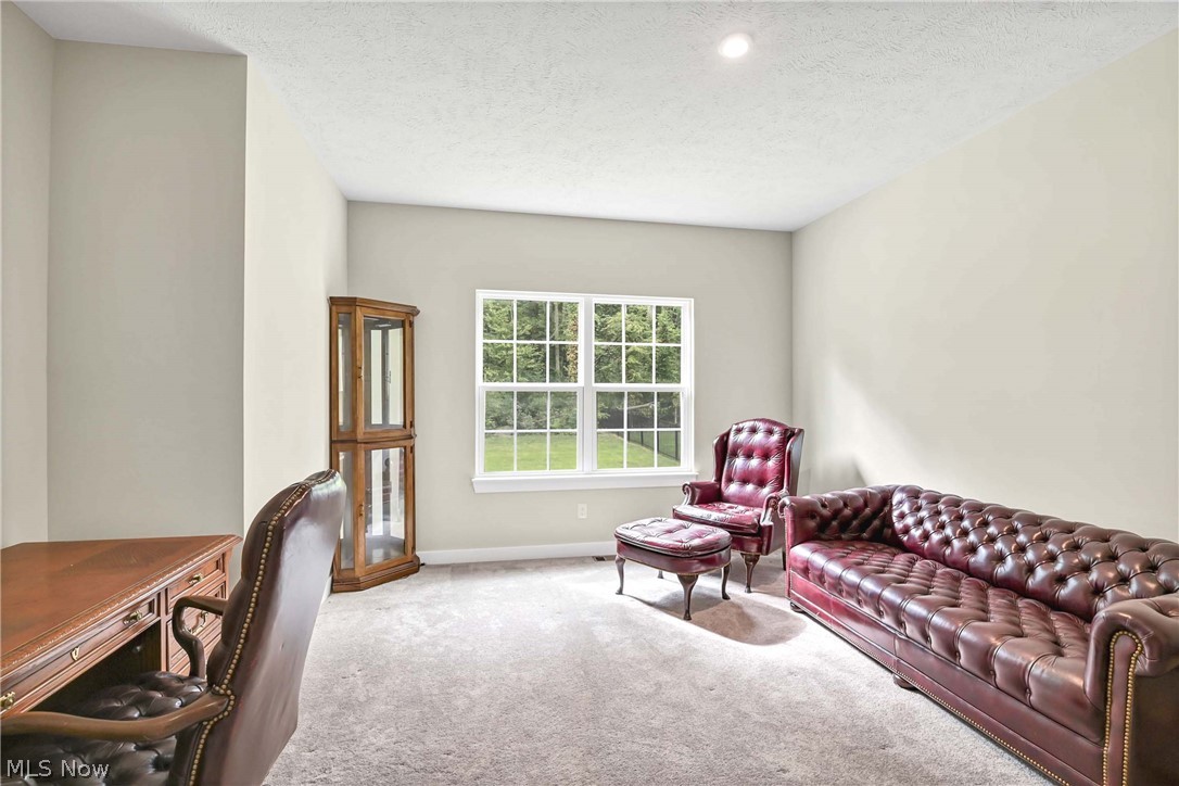 35405 Crystal Creek Court Grafton OH 44044