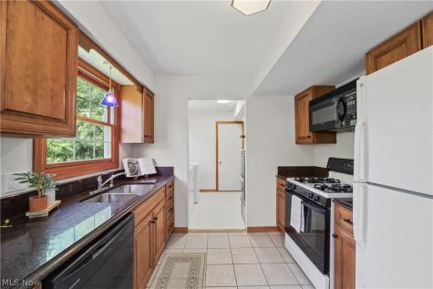 4902 Lakeview Drive Mentor OH 44060