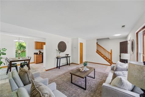 4902 Lakeview Drive Mentor OH 44060