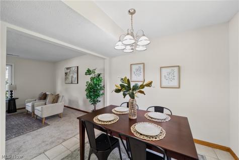 4902 Lakeview Drive Mentor OH 44060