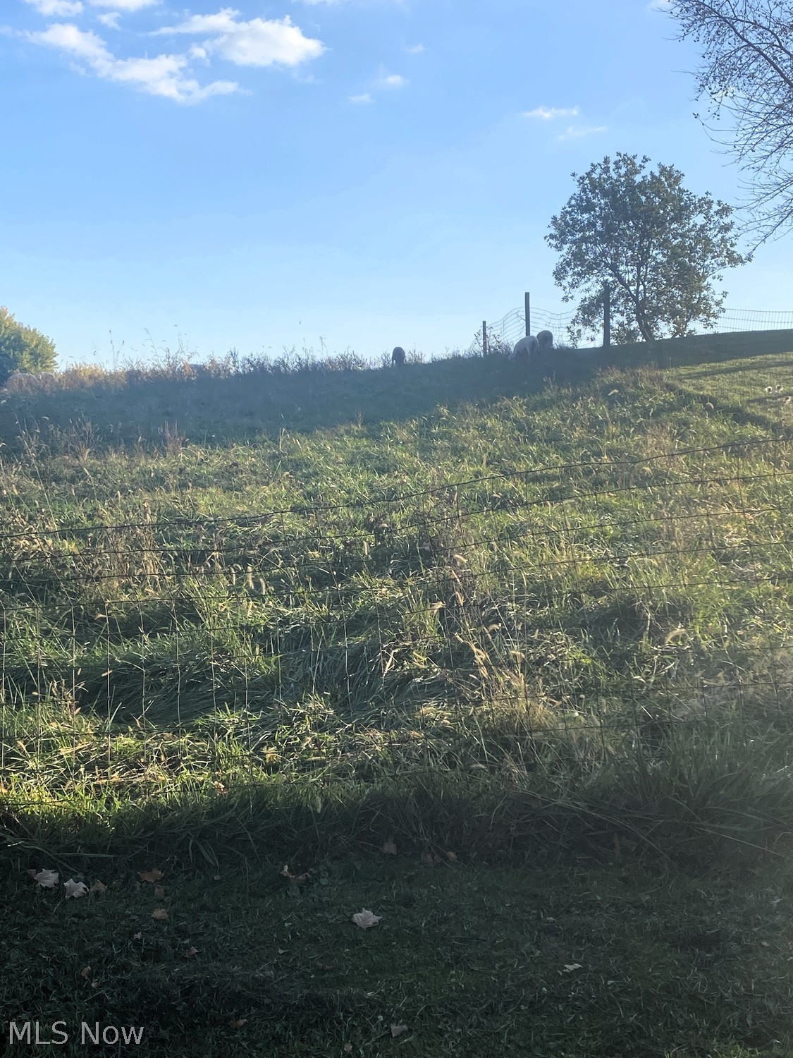 350 3rd Street SW Sugarcreek OH 44681