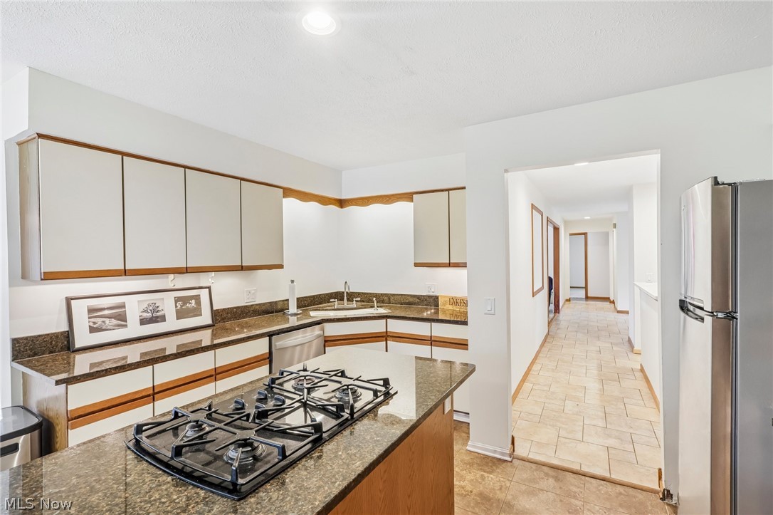 32078 Willow Circle Avon Lake OH 44012