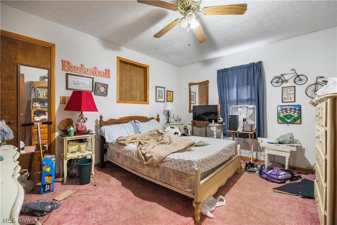 4249 Tapper Road Norton OH 44203