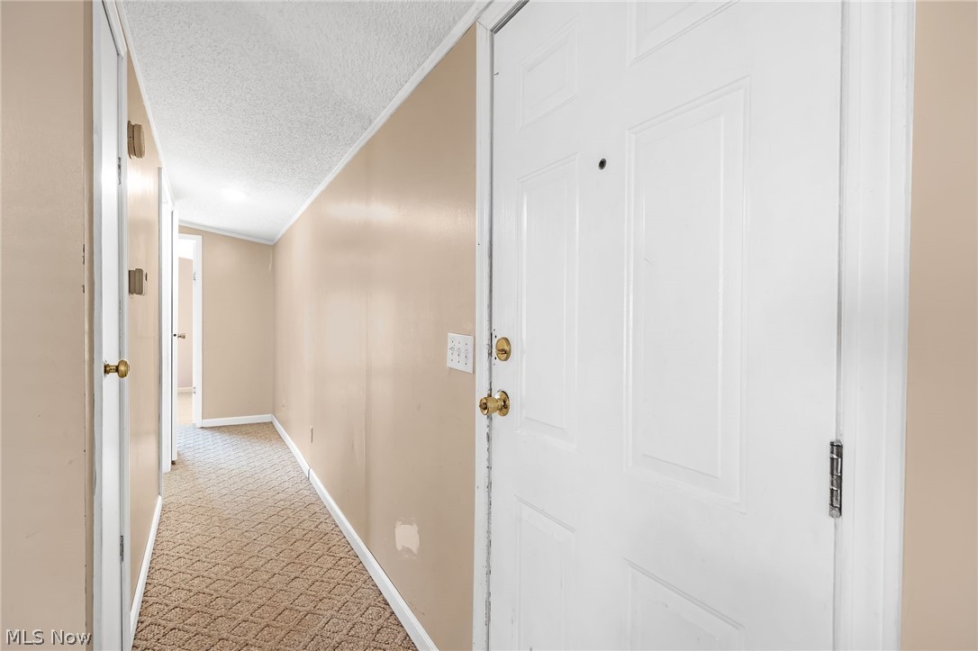 6544 Ricky Lane Ravenna OH 44266