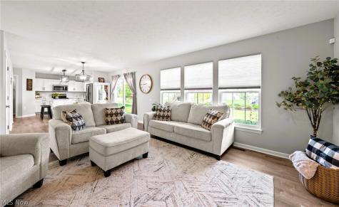 10447 Dogwood Drive Aurora OH 44202