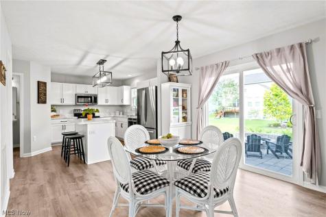 10447 Dogwood Drive Aurora OH 44202