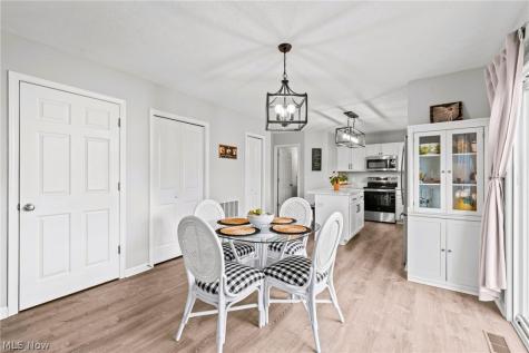 10447 Dogwood Drive Aurora OH 44202