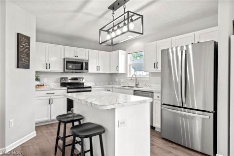 10447 Dogwood Drive Aurora OH 44202