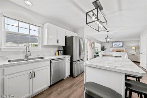 10447 Dogwood Drive Aurora OH 44202
