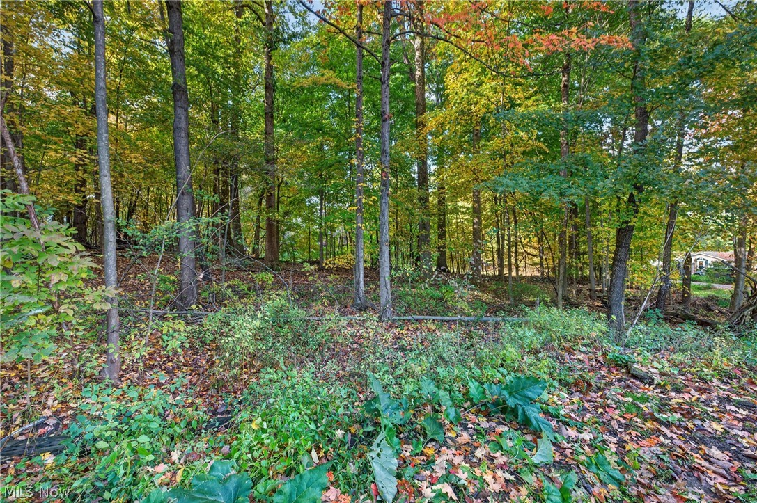 5900 Timber Avenue Louisville OH 44641