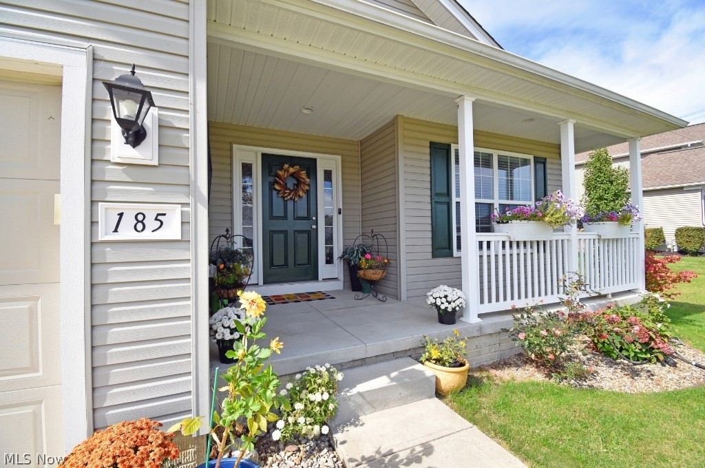 185 Amy Avenue Madison OH 44057