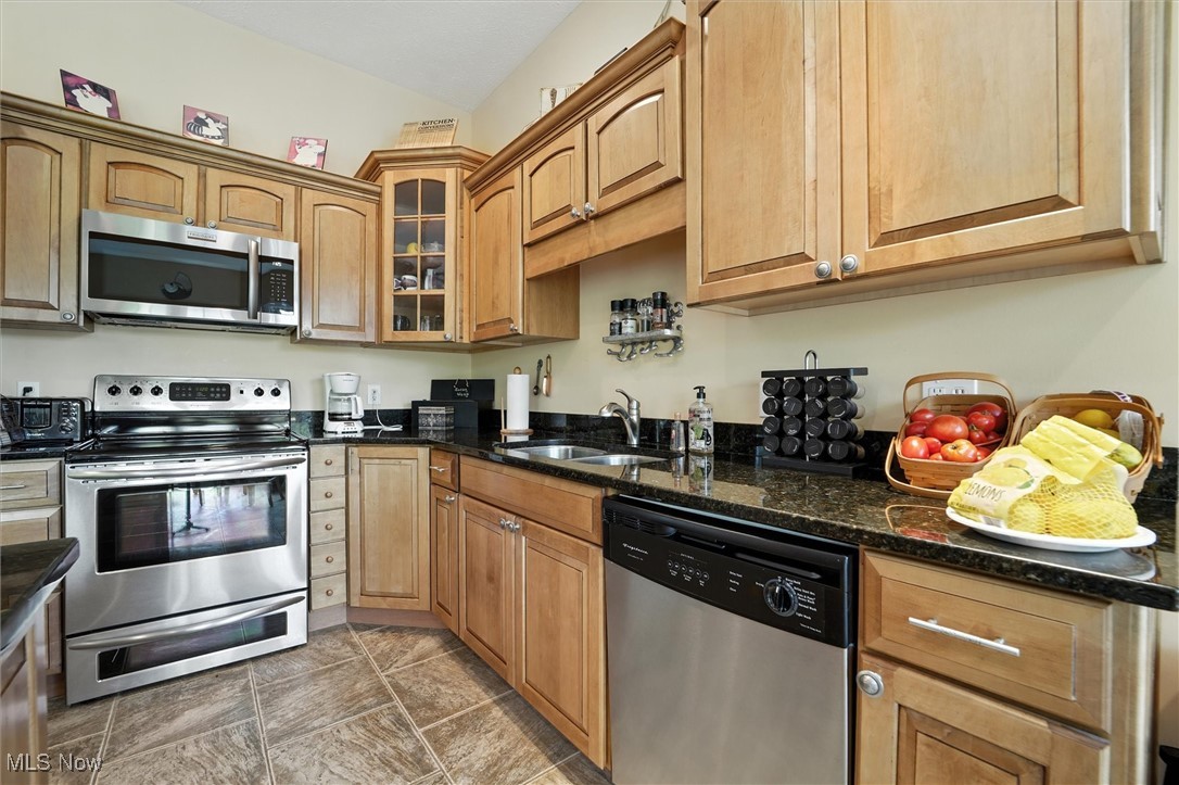 1437 Lake Vue Drive Roaming Shores OH 44085