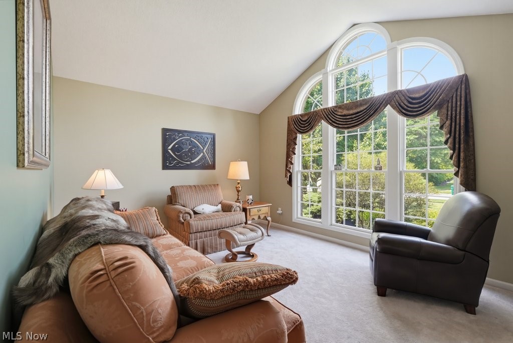 9615 Windsor Way Twinsburg OH 44087