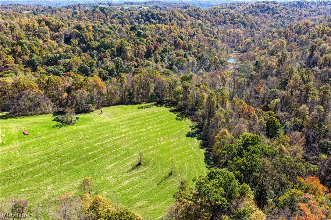 48251 Sykes Ridge Road Clarington OH 43915