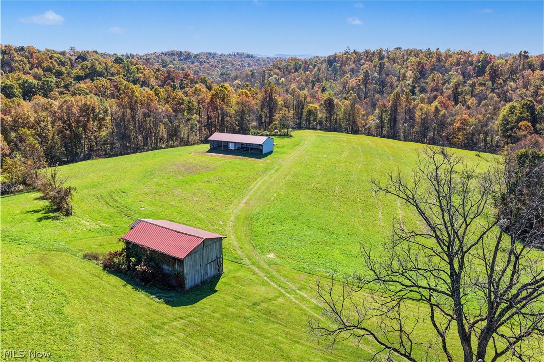48251 Sykes Ridge Road Clarington OH 43915