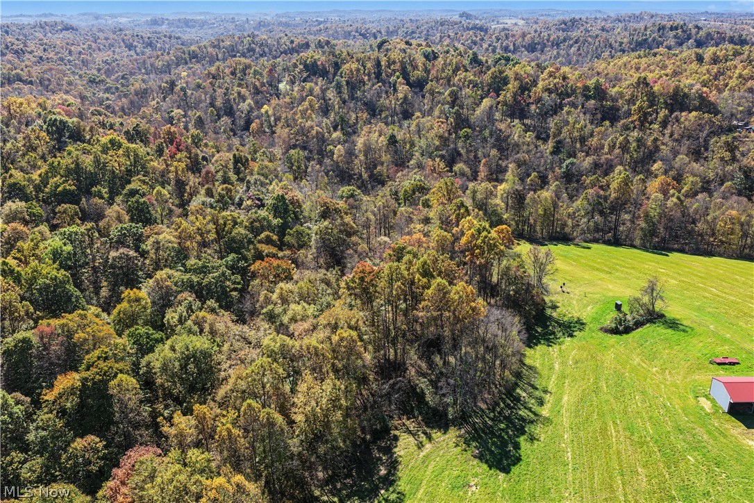 48251 Sykes Ridge Road Clarington OH 43915