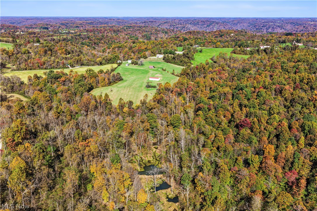 48251 Sykes Ridge Road Clarington OH 43915