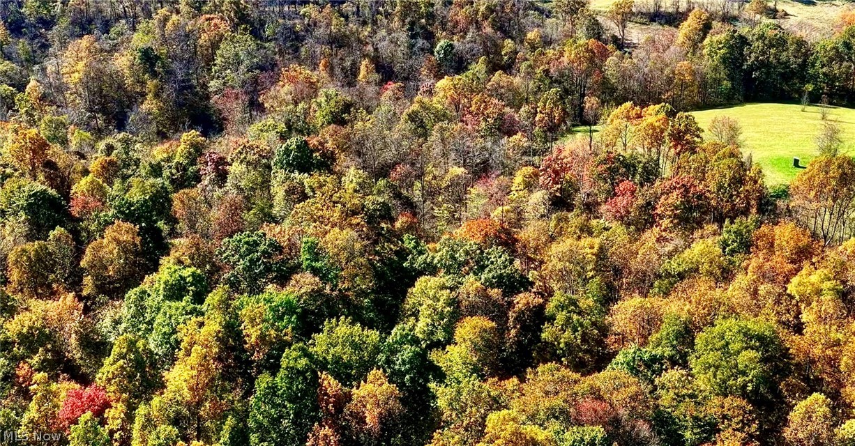 48251 Sykes Ridge Road Clarington OH 43915