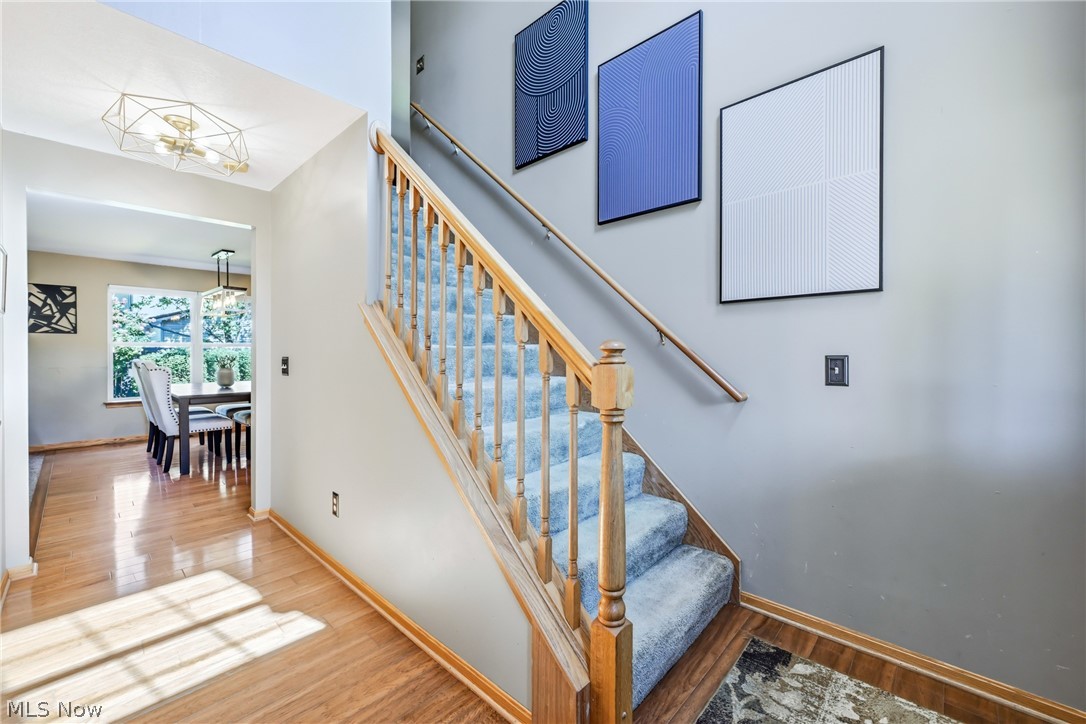 100 Laura Lane Cortland OH 44410
