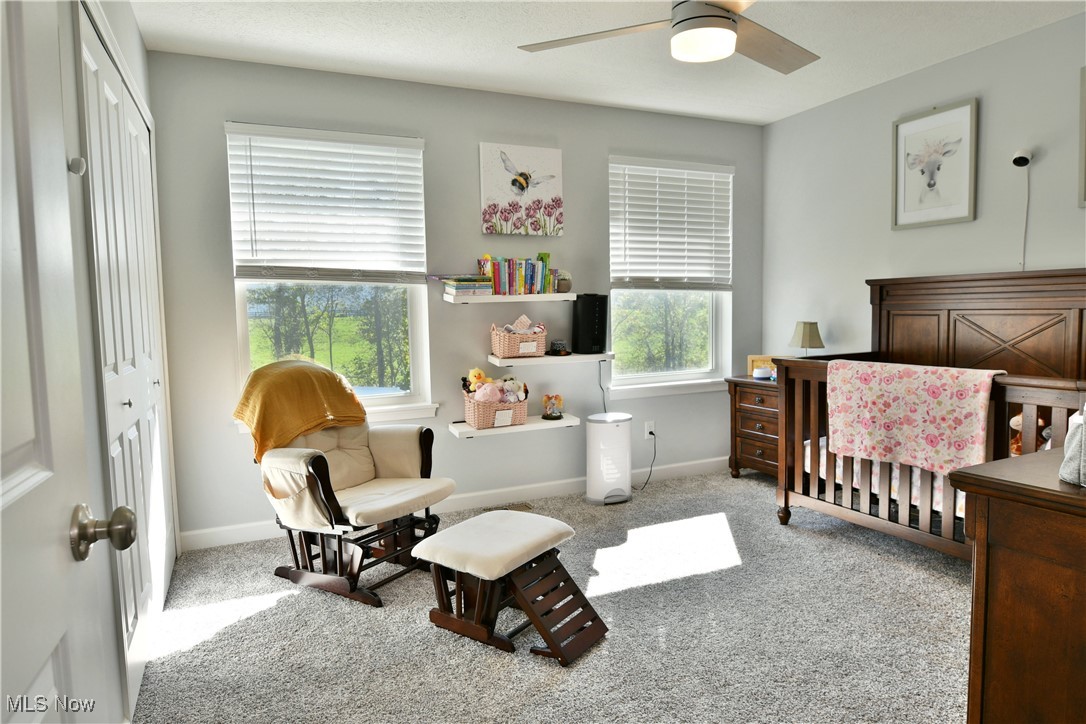 169 Juniper Drive Columbiana OH 44408