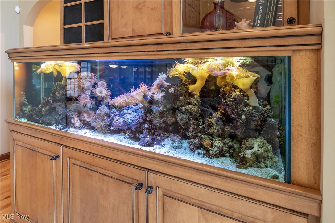 6220 Williams Drive Broadview Heights OH 44147