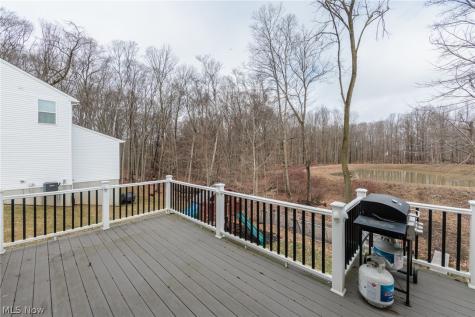 6394 Hooper Drive Medina OH 44256