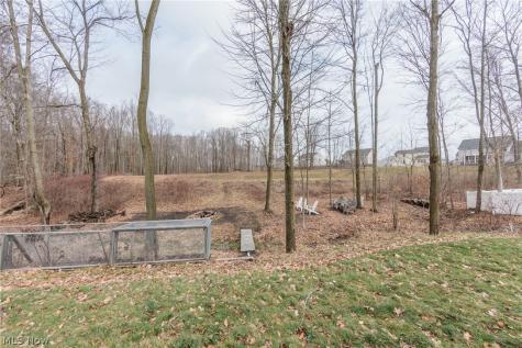 6394 Hooper Drive Medina OH 44256