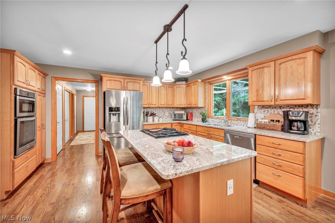 9198 Regency Woods Drive Kirtland OH 44094