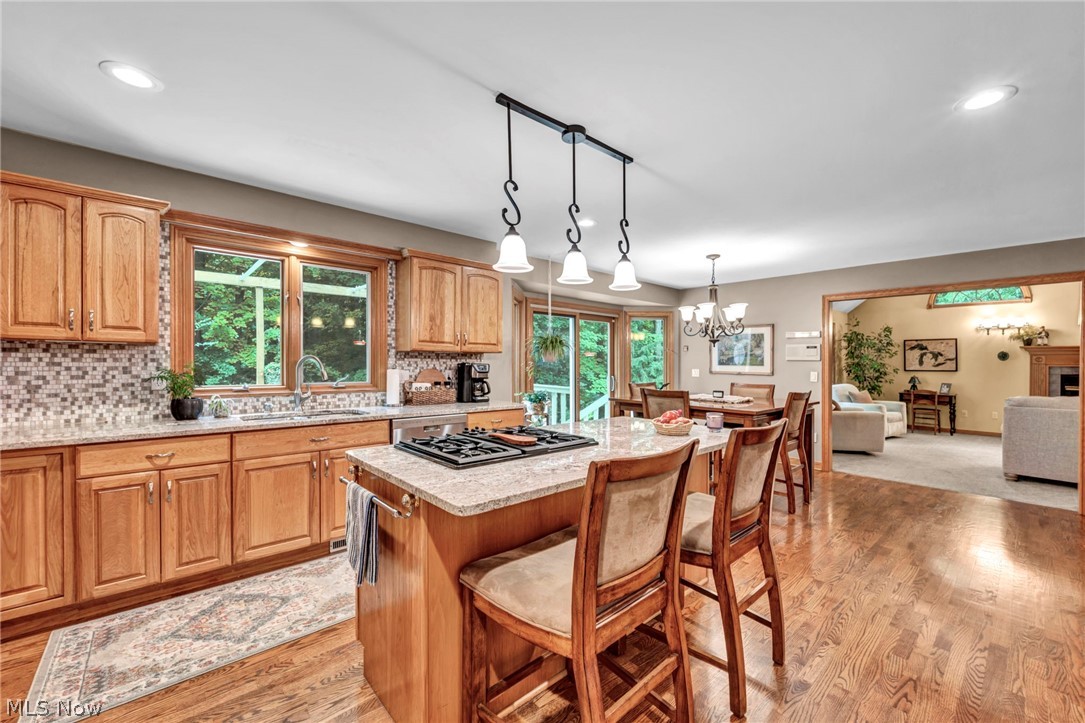 9198 Regency Woods Drive Kirtland OH 44094