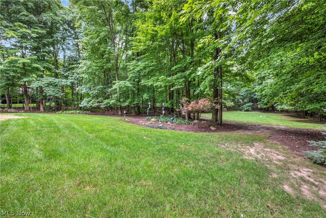 9198 Regency Woods Drive Kirtland OH 44094