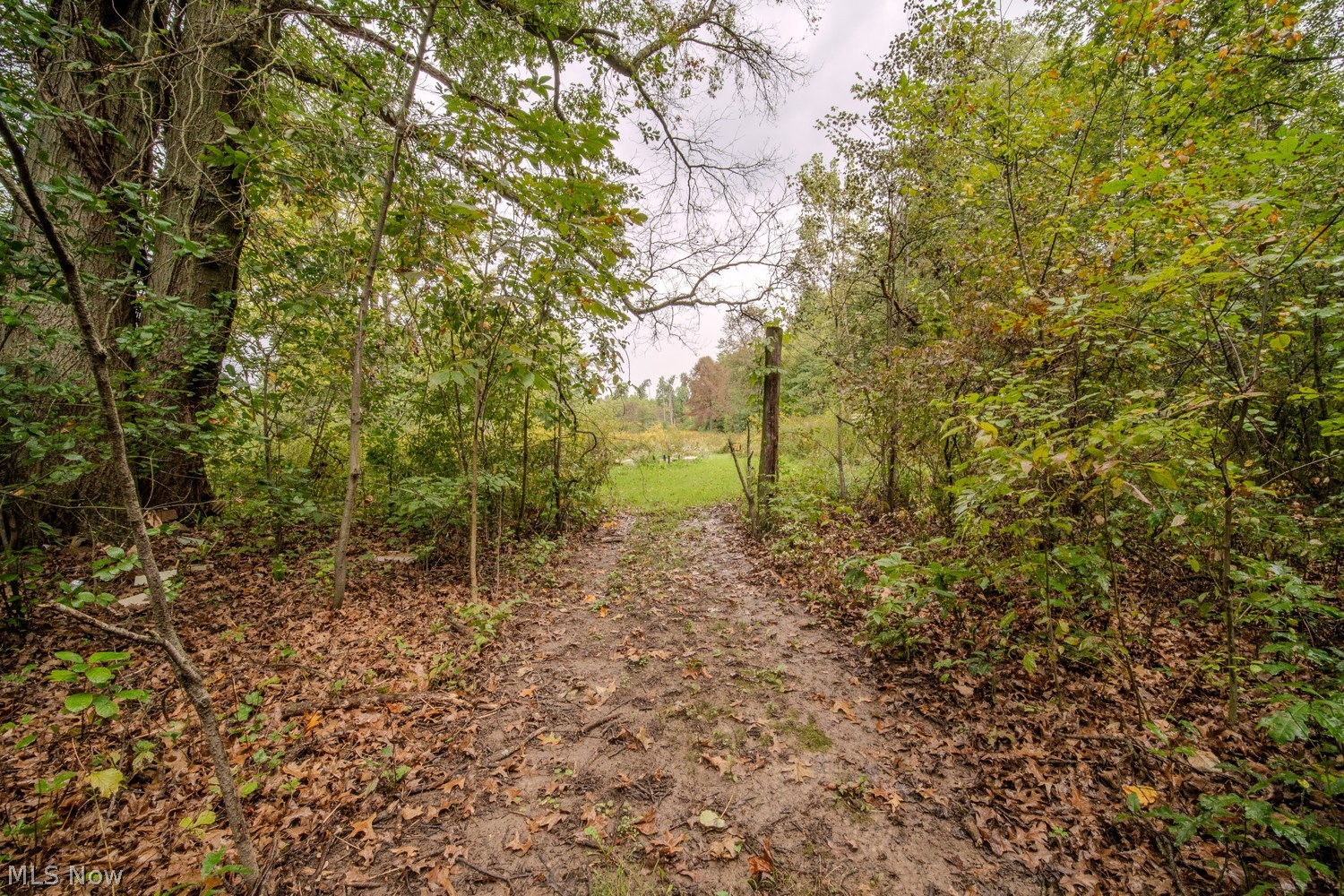 15831 German Church Road Atwater OH 44201