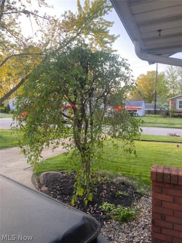236 Northfield Drive Elyria OH 44035
