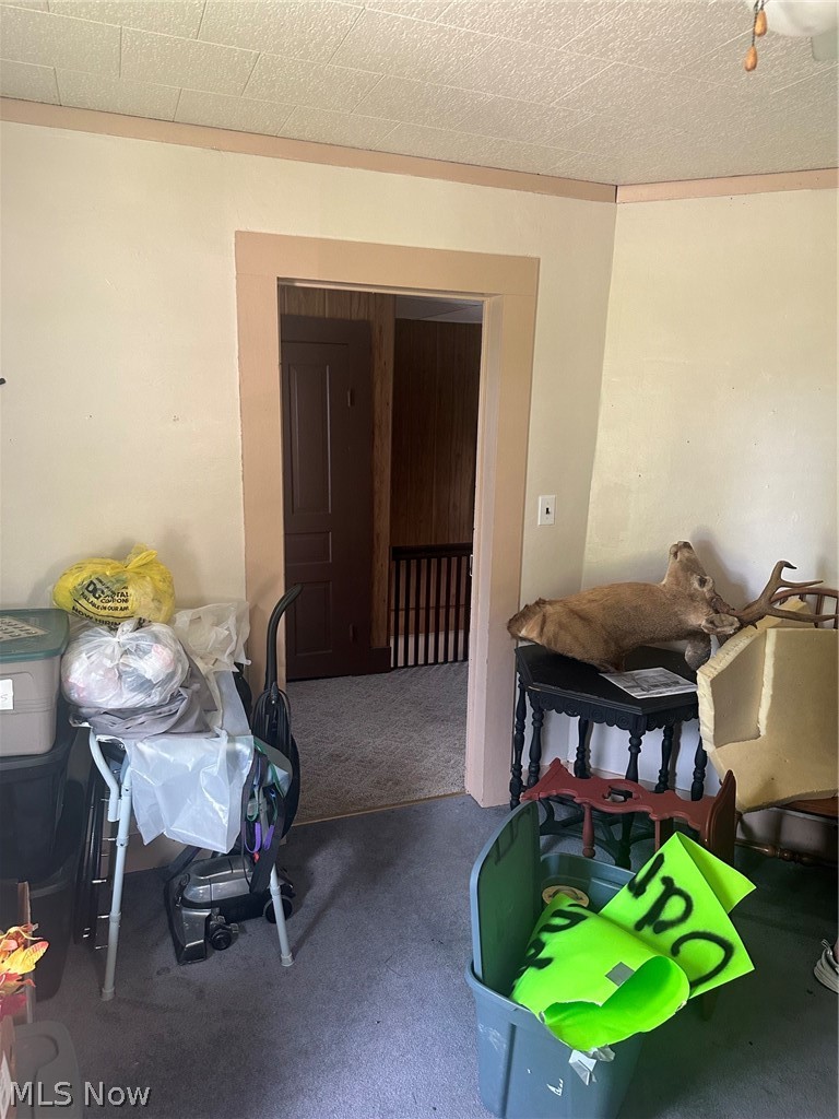 214 Charleston Street Cadiz OH 43907