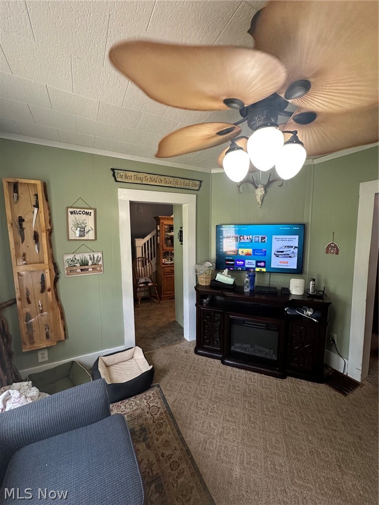 214 Charleston Street Cadiz OH 43907
