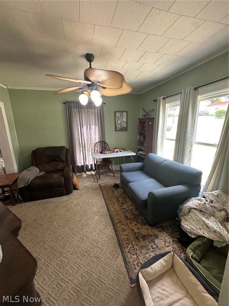 214 Charleston Street Cadiz OH 43907