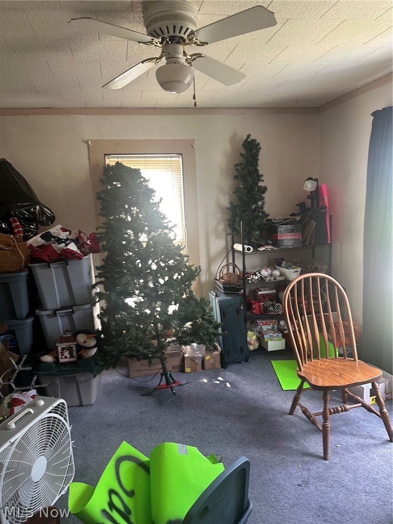 214 Charleston Street Cadiz OH 43907