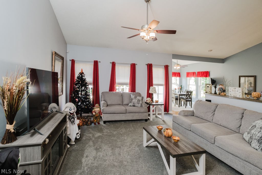 264 Cedarbrook Drive Painesville OH 44077
